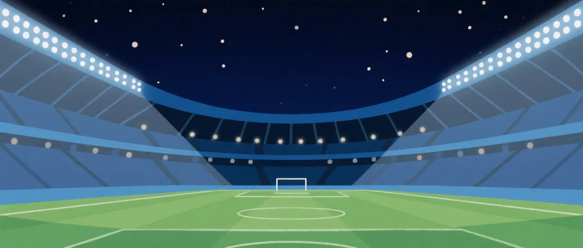 世界杯球场氛围插图
